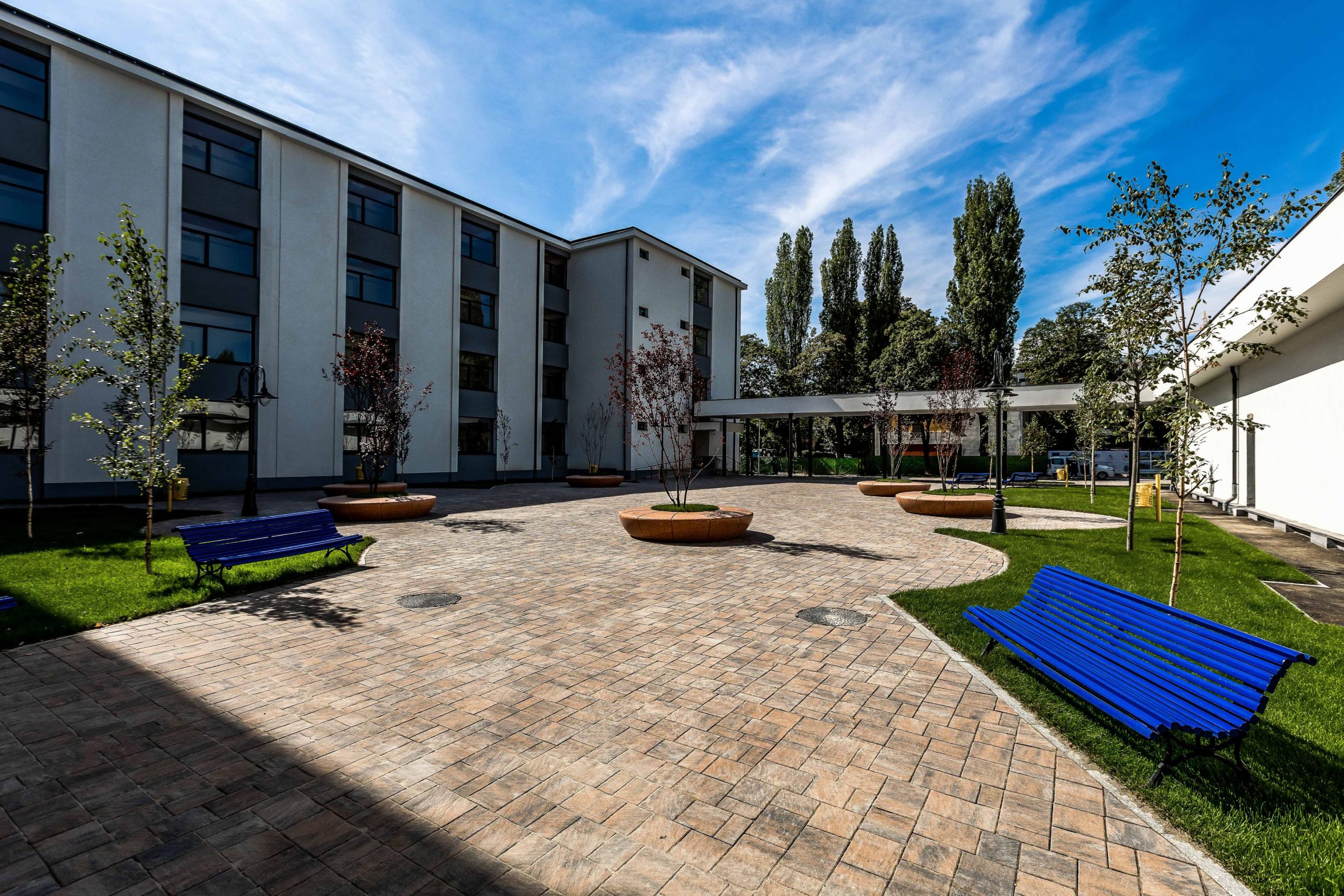 Colegiul Tehnic „Miron Nicolescu”